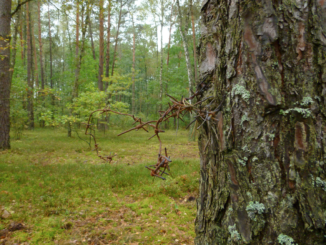 Sobibor. Foto copyright © Ivar Schute.