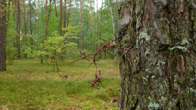 Sobibor. Foto copyright © Ivar Schute.