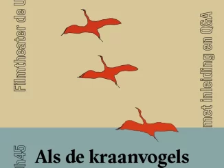 Als de kraanvogels overvliegen